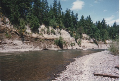 Nisqually River(1)