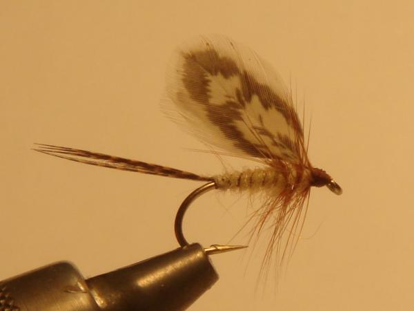 Henwing March Brown