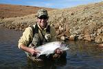 Flyfishing in South Africa