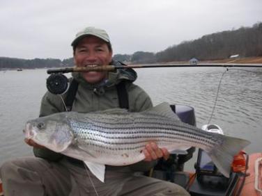 An old fishing buddy with a lake Lanier Striper on the fly. Nice fish Ricardo