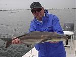 December cobia on fly