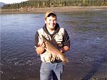 caught this 23 inch bow on the wool head muddler up at swift resevour in sw washington state