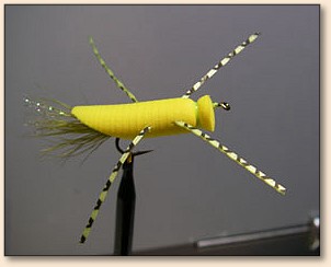 Finished Fly