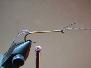 Fly of the Week - JC's Salmon Fly - June 7, 2010
