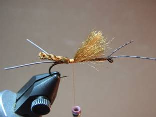 Fly of the Week - JC's Salmon Fly - June 7, 2010