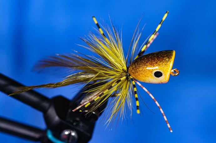 Bass Popper (1 of 1).jpg