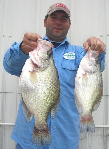 4 lb. crappie.jpg