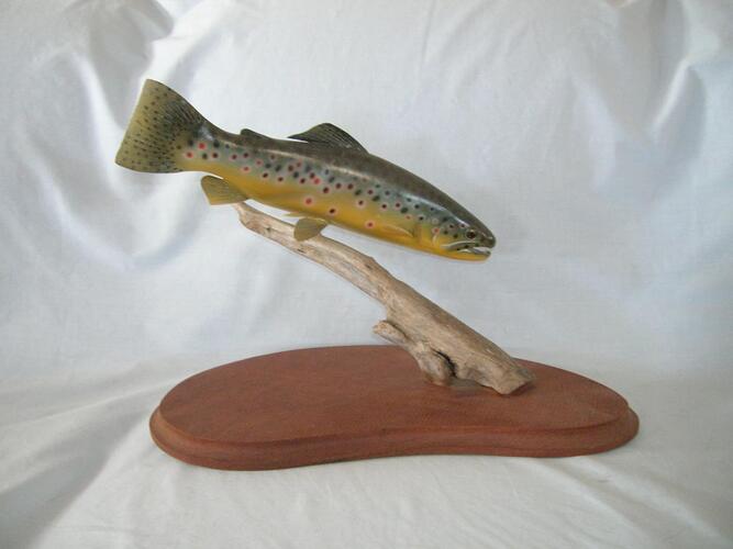 Brown Trout profile.jpg