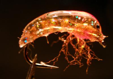 Juice scud 1-400.jpg