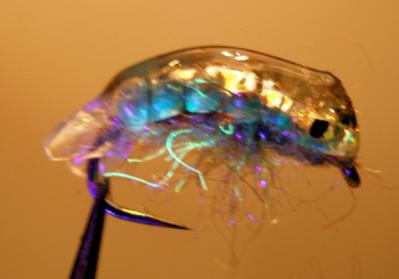 juice scud 4- 400 blk-lt.jpg