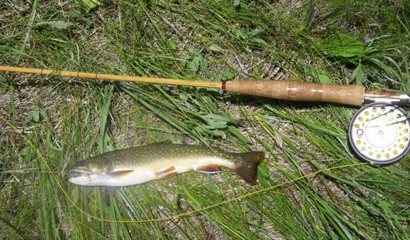 Creek Fishing 101: How to Fish Small Streams