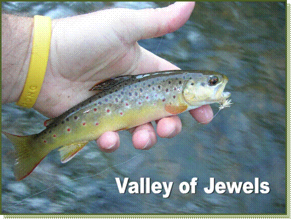 Valley of Jewels