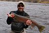 A REAL Steelhead from the NW