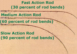What is Action in a Rod? For Beginners - 101, Part 3 FAOL