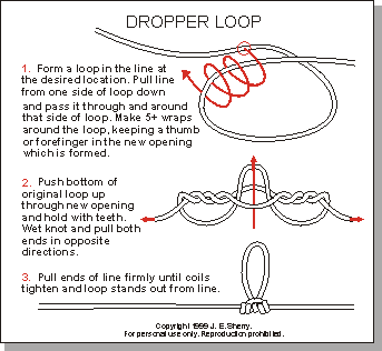 Fly Angler's OnLine - Dropper Loop Knot - Knots - 6