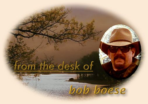 Bob Boese, Louisiana