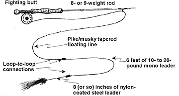 Fly Line To Leader Connections