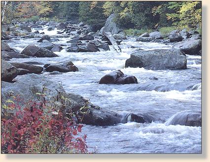 Ausable River - Great Rivers - Angler's OnLine
