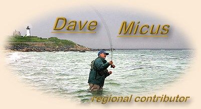 Dave Micus, Plum Island Sound