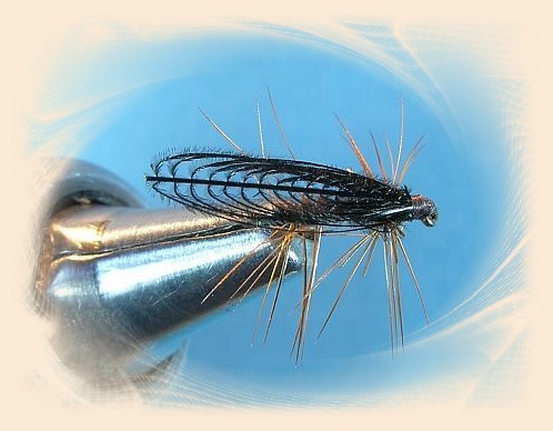 Early Black Stone Fly - Quick easy dry stonefly pattern. Can also