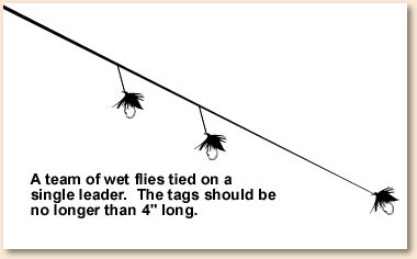 Wet Flies - Rediscovered - Fly Angler's OnLine Volumn 10 week 3