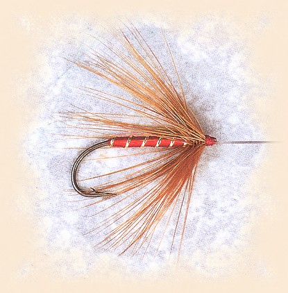 Red Hackle - Old Flies - Fly Angler's OnLine 5 week 44"