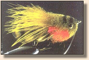 Do Largemouth Bass Eat Bluegills?- Fly Angler's OnLine - Part 149