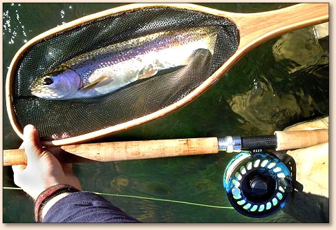 Spey Rods and Local Trout #345
