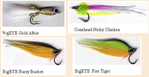 Keeps on Ticking - Fly Angler's OnLine Fly Fishing the Salt - 131