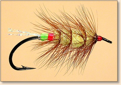 Tying Atlantic Salmon and Spey Flies, Instruction - Bombers & Bugs, Fly  Angler's OnLine