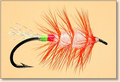 Tying Atlantic Salmon and Spey Flies, Instruction - Bombers & Bugs