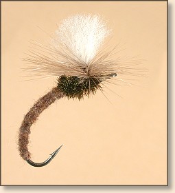 Tying Atlantic Salmon and Spey Flies, Instruction - Klinkhamer Special, Fly  Angler's OnLine