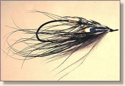 Tying Atlantic Salmon and Spey Flies, Instruction - Spey & Dee Flies, Fly  Angler's OnLine