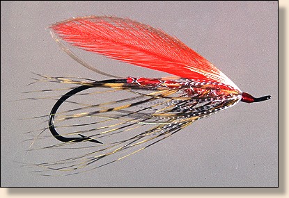 Tying Atlantic Salmon and Spey Flies, Instruction - Hackle Tip Wing Spey,  Fly Angler's OnLine