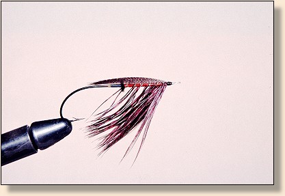 Tying Atlantic Salmon and Spey Flies, Instruction - Spey & Dee