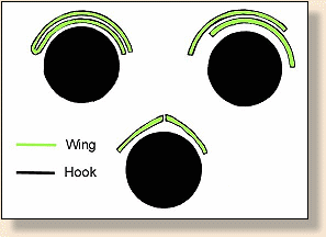 Styles of Spey Wings