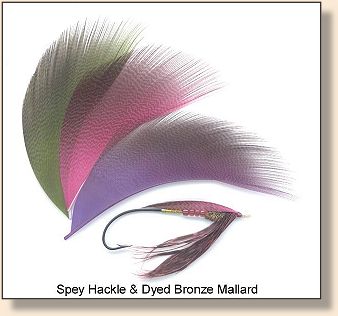 Spey Hackle and Dyed Bronze Mallard