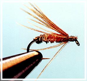 Fly Depot - flies, fly patterns, fly collections, fly