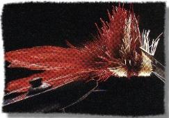 2-pack Dahlberg Diver Size 4 Deer Hair With White Marabou Wing