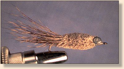 Henry's Crawfish, Fly of the Week #171 - FAOL