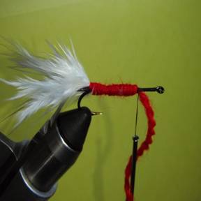 Tinsel Fly - Fly of the Week