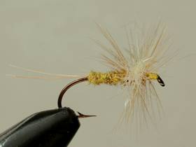 Fly of the Week - Flyanglers Online - March 29, 2010