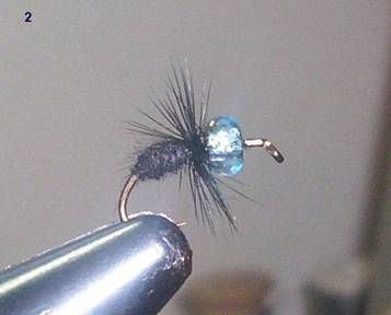 Punch and Bead - Fly of the week - May 17, 2010