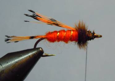 Fly of the Week - The Orange Nymph - July 12, 2010