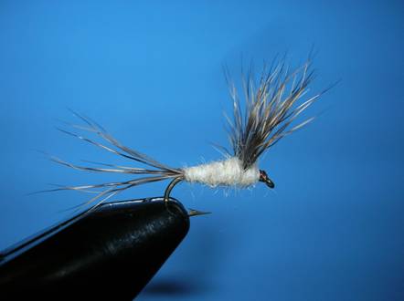 The May Haystack - Fly of the Week - July 19, 2010