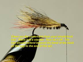 Doodlebug - Fly of the Week - August 30, 2010