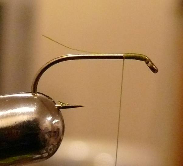 Fly of the Week - The Golden Vice FLy - Nov 1, 2010