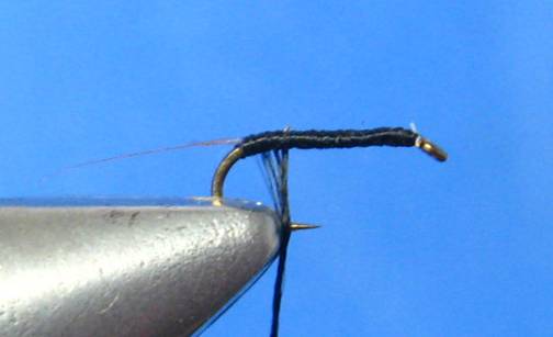 The DJG Midge - Fly of the week - January 31, 2011