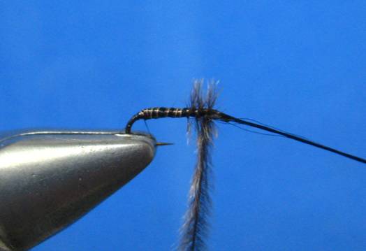 The DJG Midge - Fly of the week - January 31, 2011