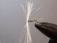 Pheasant Tail Mayfly Parachute